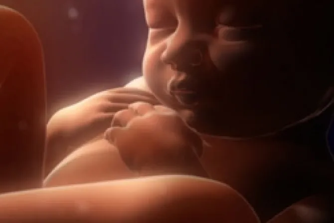 Vaticano aprueba nueva bendición de niños en el útero