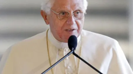 Santidad es la medida de la vida cristiana, dice el Papa