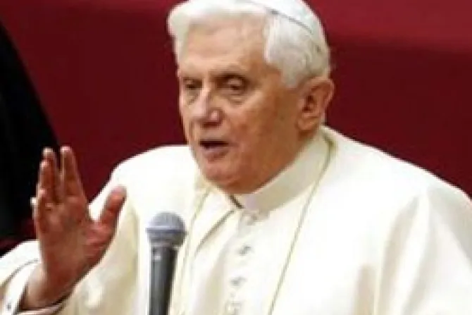 Inseparables defensa de la creación y defensa de dignidad humana, recuerda el Papa