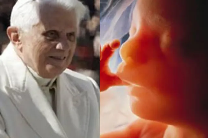 Ayudar a Haití y rezar por los niños por nacer, exhorta el Papa Benedicto XVI