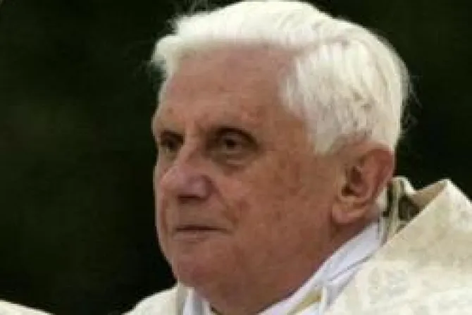 La Iglesia solo puede y debe temer al pecado de sus miembros, dice el Papa