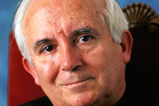 Cardenal Cañizares recuerda que leyes contra la vida no son vinculantes