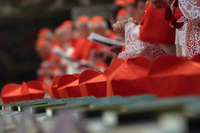 Cónclave: Cardenales tienen plena libertad en Santa Marta para rezar, reflexionar y compartir