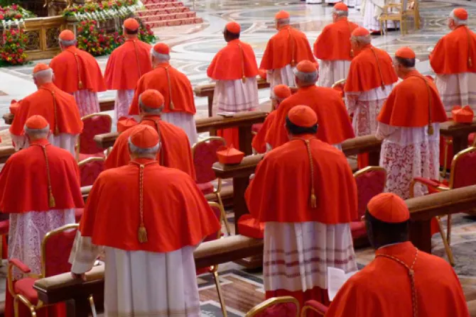 Unos 180 cardenales participan desde mañana en el primer Consistorio del Papa Francisco