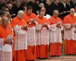 Algunos de los nuevos cardenales (foto ACI Prensa)?w=200&h=150