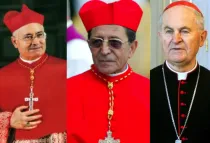 Los cardenales De Giorgi, Herranz y Tomko, encargados de la investigación
