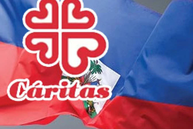 Caritas impulsa reconstrucción de Haití a un año del terremoto