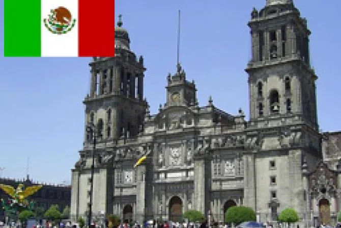 Obispos repudian destrucción de Virgen de Guadalupe en Catedral de México