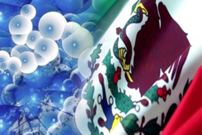 Investigación con células madre adultas respeta integridad humana, dice Arzobispo mexicano