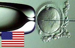EEUU: Corte Suprema no admitirá demanda en defensa de embriones humanos