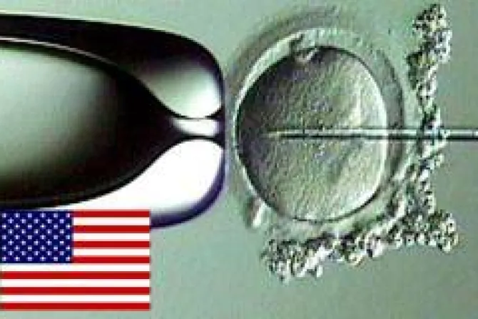 EEUU: Corte Suprema no admitirá demanda en defensa de embriones humanos