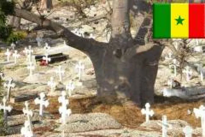 Profanan 160 tumbas en cementerios católicos y roban cruces de bronce