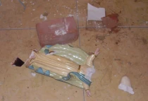 Foto: Rau00fal Saavedra - Sociedad Amantes del Pau00eds de Chilca