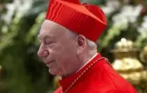 Cardenal Francesco Coccopalmerio, Presidente del Pontificio Consejo para los Textos Legislativos