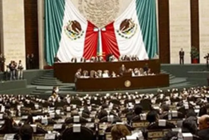 Posible reforma legal en México legitimaría aberraciones