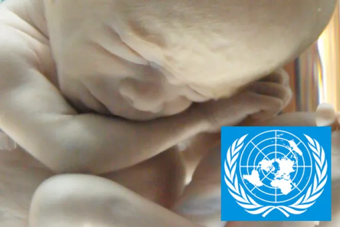 Presentación en defensa de la vida ante ONU podrá verse en vivo en Internet