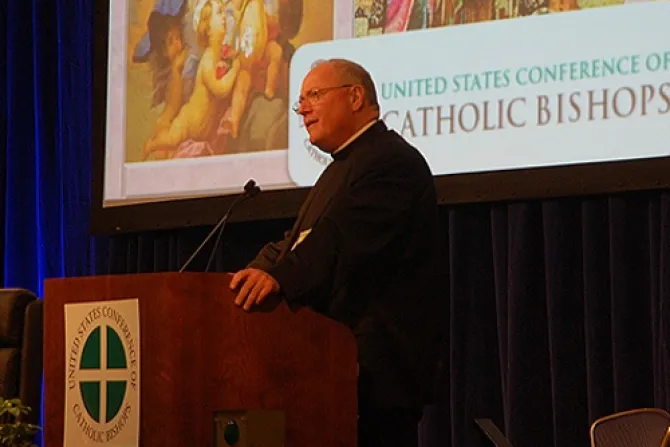 Defiendan a cristianos perseguidos en el mundo, exhorta Cardenal Dolan a Obispos de EEUU