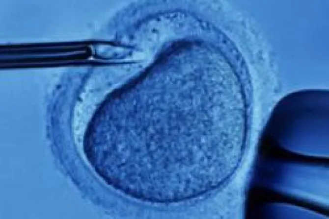 Polémica por donante de esperma que tiene unos 150 hijos en Estados Unidos