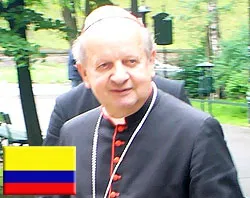 Cardenal Stanislaw Dziwisz, Arzobispo de Cracovia?w=200&h=150