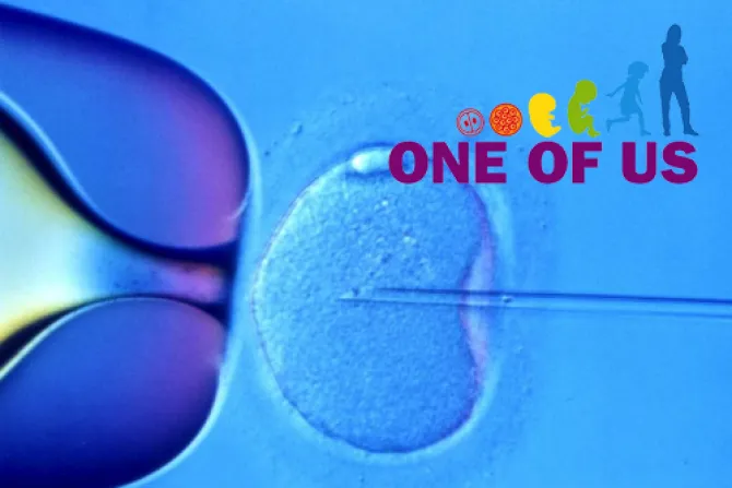 Iniciativa europea “Uno de nosotros” pide frenar investigación con embriones humanos
