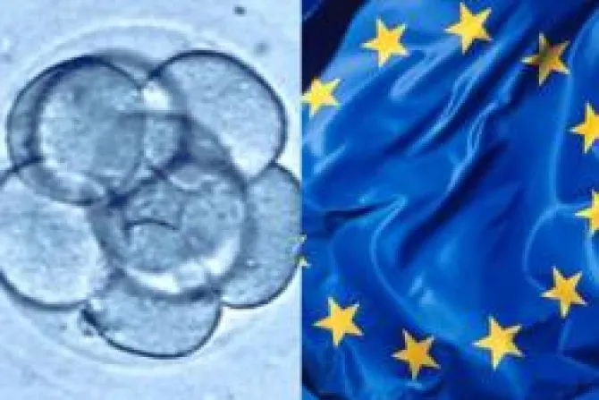 Felicitan a Tribunal Europeo por prohibir uso de embriones en investigaciones