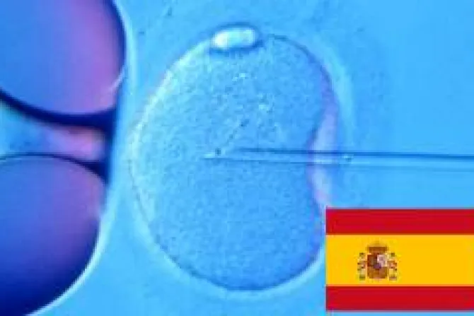 Denuncian que España financia investigación “obsoleta” con células estaminales embrionarias