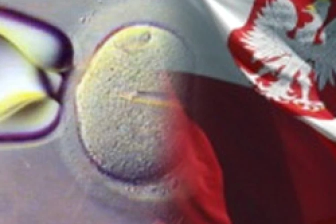 Iglesia Católica en Polonia: Fecundación in vitro acaba con vidas humanas como la eugenesia