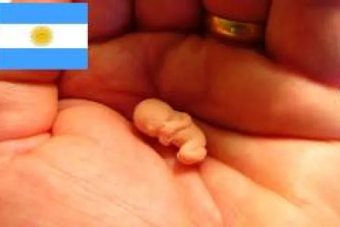 Ley de aborto aprobada en Buenos Aires viola Constitución argentina, afirman abogados católicos