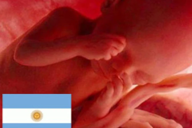 Guía técnica que ampara aborto seguiría vigente en Argentina