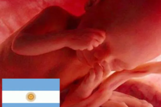 Guía técnica que ampara aborto seguiría vigente en Argentina