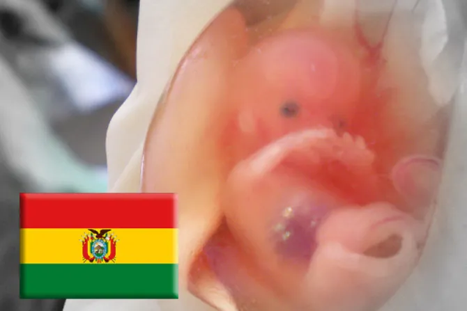 Pro-vidas convocan marcha en rechazo al aborto en Bolivia