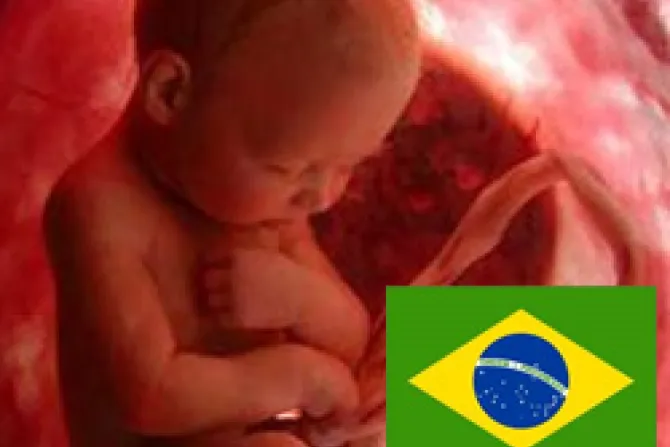 Parlamento de Brasil cuestiona a ministra por promover aborto en foro internacional