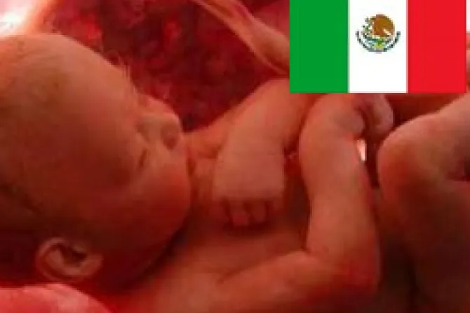 Reformas no penalizan a la mujer y la protegen del aborto, aclara experta en México