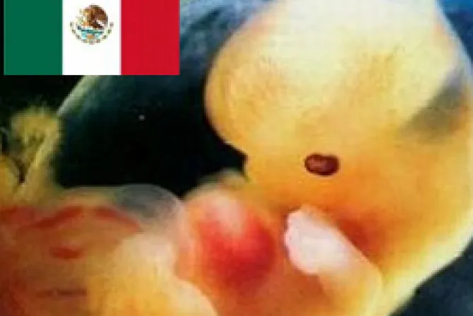 Celebrar la vida defendiéndola contra el aborto en todo México
