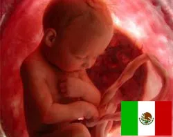Velar por niñas embarazadas, sin aborto para no nacidos, pide líder mexicana