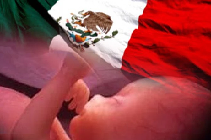 Objetivo de Estado laico es defender DDHH, especialmente derecho a la vida