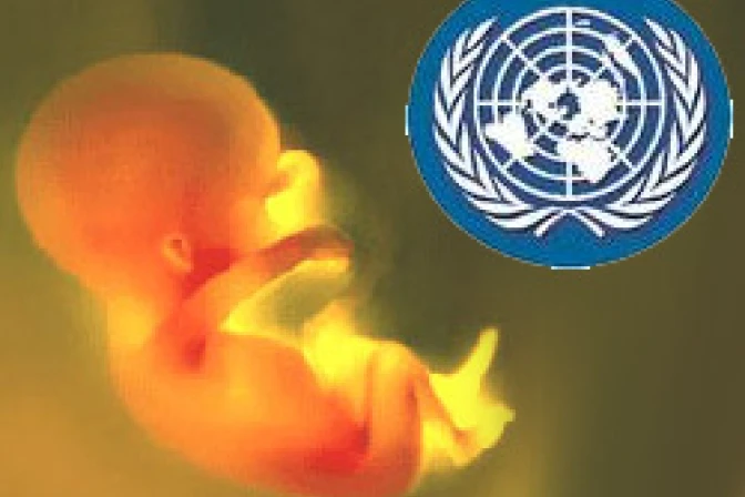 Abortistas quieren crear "mega burocracia" feminista al interior de la ONU