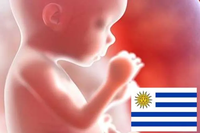Uruguay: Proceso de referéndum para derogar aborto supera primera etapa