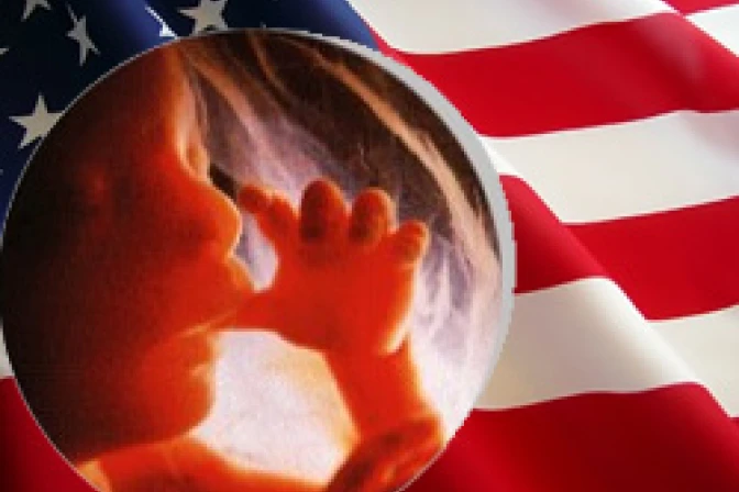 Obispos piden a parlamentarios priorizar bien común y defensa de la vida en EEUU