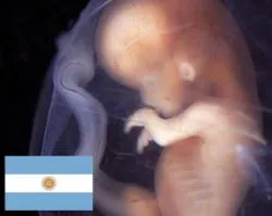 Piden llamar a diputados para no aprobar aborto en Argentina hasta noveno mes