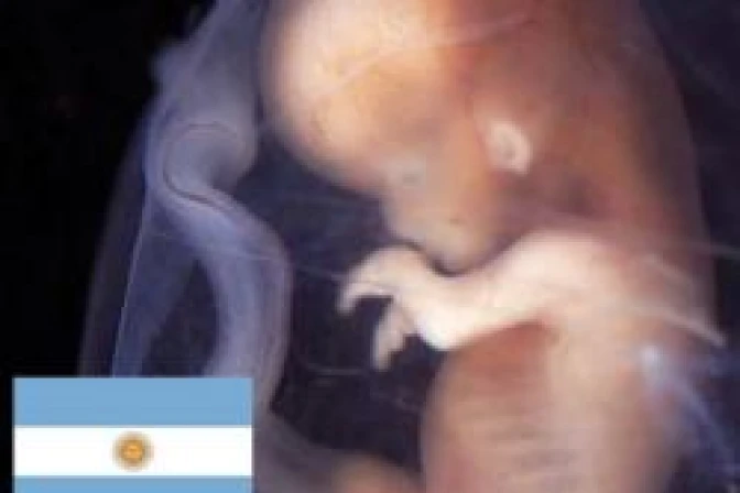 Piden llamar a diputados para no aprobar aborto en Argentina hasta noveno mes