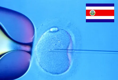 Fecundación in vitro: Expertos critican imprecisiones científicas en fallo de CIDH contra Costa Rica