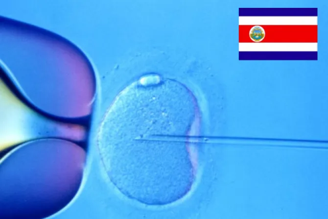 Fecundación in vitro: Expertos critican imprecisiones científicas en fallo de CIDH contra Costa Rica