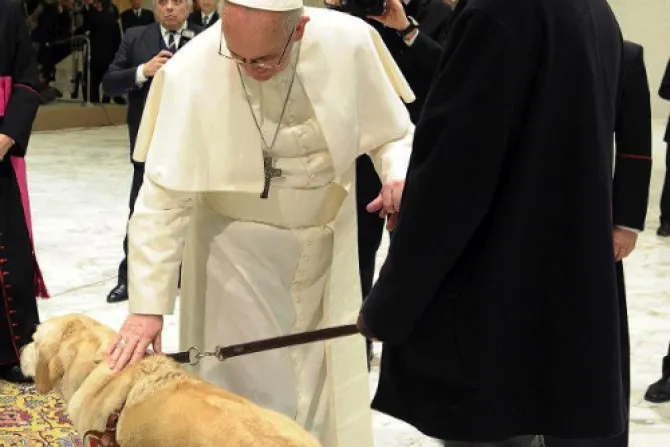 Periodista invidente agradece al Papa por bendecir a su perro lazarillo