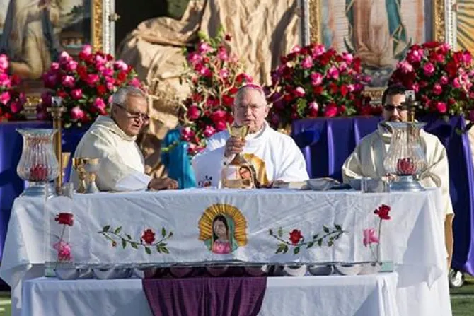 EEUU: 30 mil fieles oran por reforma migratoria ante Virgen de Guadalupe