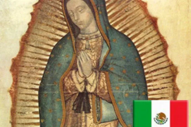 Benedicto XVI: Que la Virgen de Guadalupe aliente esperanza y caridad en Adviento