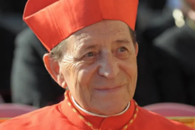Cardenal lamenta que haya quienes "quieren enfangar imagen de la Iglesia y sacerdocio católico"