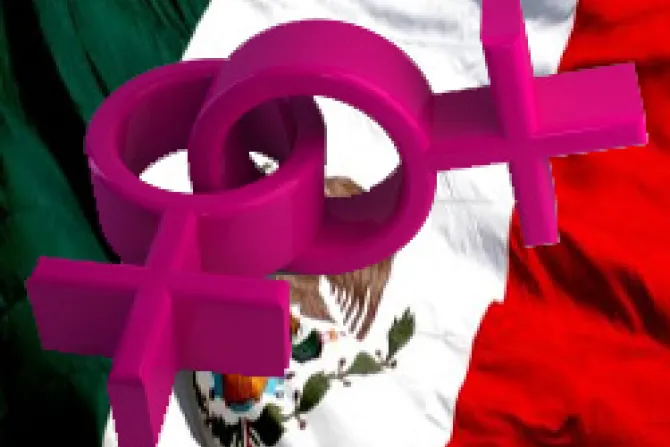 Instan a Corte mexicana a declarar inconstitucional "matrimonio" homosexual