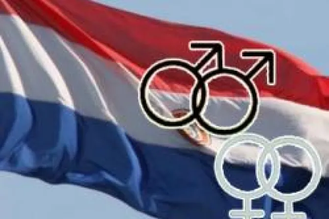 Enérgico rechazo de organizaciones pro-familia a "besatón" gay en Paraguay