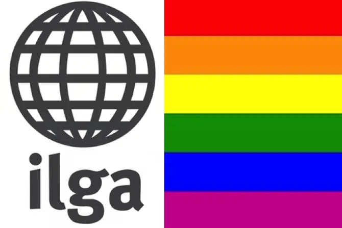 Asociación gay toleró cerca de 10 años política pro pedofilia